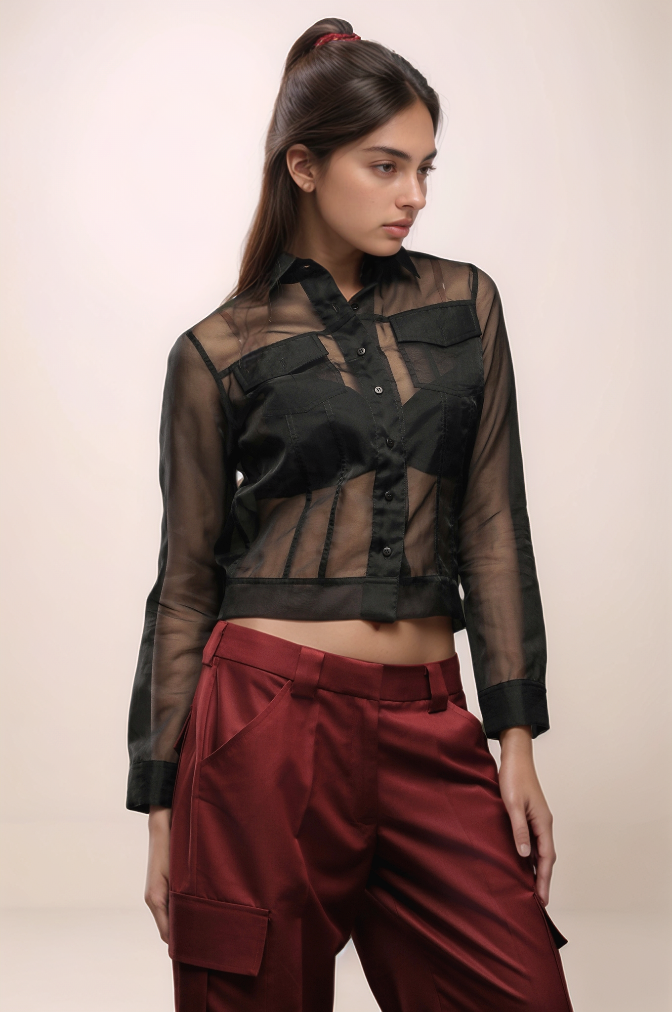 Black Organza Top