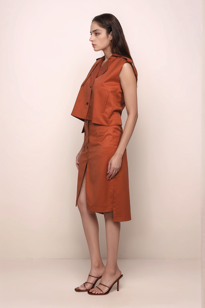 Rust Knee Length Skirt